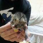 판에서 만난 우리 감자 이야기♡