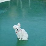 ☆★☆★바구니에서 자는 뚱이☆★☆★