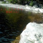 친구가 물에 빠졌는데..(수정)