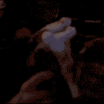 <b>수박</b>이냥