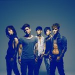 5인조로 <b>재정비</b>한 달마시안!!!