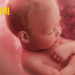 임산부 혹은 그 아내를 둔 그대들에게