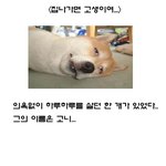 [<b>자작</b>] 집나가면 고생이여~