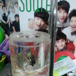 제가 <b>생명</b>을 구했는데...