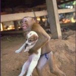 일본인 <b>납치</b>사건