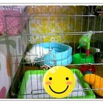 똥배에서 나온 내새끼 동배 - 2탄 <b>아랑</b>이, 작은동배편 ★사진 폭탄...