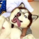 ♬울아이에게꿈과소망을,<b>녹색</b>환경미술대회!!!