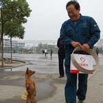 <b>대륙</b>의 강아지...