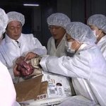 광우병 조사단, 정말 세금 낭비만 하고 있을까?