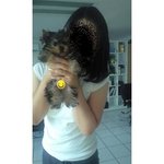 우리집상전# 진상<b>요키</b>를 소개합니다 :d