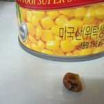 옥수수 먹다가 황당한 일이 ....오뚜x 믿을수 있는건가요?>