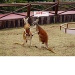 짤은 <b>재탕</b>이 진리지