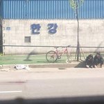 [훈훈 사진有] <b>로드킬</b> 당한 강아지 곁을 지켜주던 학생들..