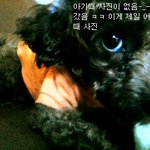 귀여운 쑤니쑤니 맹순이 ㅋㅋ