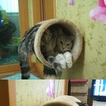 아옹다옹 천방지축 성장기 5탄