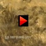 좀비개미 막는 <b>곰팡</b>이 이거 어디에 올려야됨ㅋㅋ