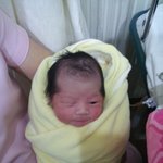 +동영상 추가] 100일된 기념 <b>지한</b>이를 소개해요 ^^