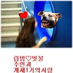 립밤♥<b>핏불</b>
