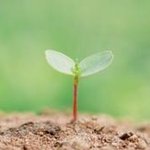 <b>보습</b>으로 새싹 같은 동안 피부 만들기 3가지 방법!