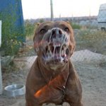 시1<b>발병</b>1신들아!!!!!!!!!!!!!!!!