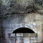 신기가 먼지만큼 있어도 뭔가 느껴지는 사진