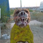 아시발<b>저때</b>씀