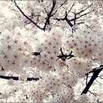 짠돌이 남친과 짠 맛 나는 데이트