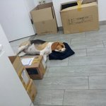 대구 칠곡분들 꼭좀 봐주세요 !!!!