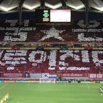 우리의 목소리 아리랑이 위험해요 ㅠ.ㅠ