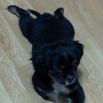 저희 <b>숯불</b>이즘 찾아주세요..