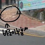 <b>태종</b>대분들보삼