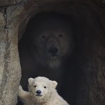 우리집으로<b>초대</b>합니다..................