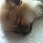 미국 51구역에 대한 비밀