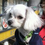 ♥♥ 겁낳 이쁜 우리 아가를 소개함!