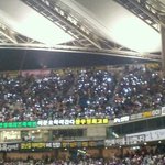 ★핫티분들 어제 정말이뻣어요!★