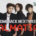 달마시안 <b>컴백예고</b>?ㅋㅋㅋ 대박