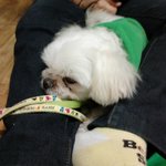 우리집 만<b>남이</b>를 소개합니다♡