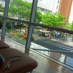 쿨한 백혈병환자와 방황