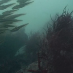 有혐오주의★일본인의 만행 꼭봐주세요★