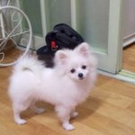 >>> [6탄!!!] 세종<b>대왕</b>의 한글사랑 <<<