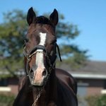 말상인 연예인들 ㅋㅋㅋㅋㅋ