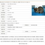 <b>부평구</b> 유기동물보호소에 있는아이들입니다. 꼬물이부터 품종성묘까지...