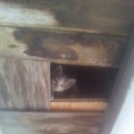 <b>포동</b>혜지찡??