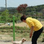 대전 유기견보호센터!<b>믹스</b>견~