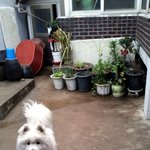 세번째, 한 발랄하는 김장군이판 -산책코스-