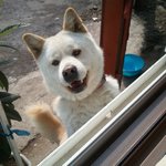 사진有)우리 충과장을 소개합니돠!!