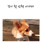 우리 꼬기 남자친구 구해요~  사진有