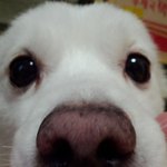 10살 스피치 <b>할배</b> 아롱이에요~ ^^