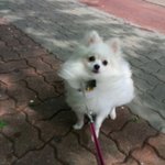 >>> [7탄!!!] 세종<b>대왕</b>의 한글사랑 <<<