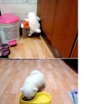 잭 보고있나?  <b>니노</b>막시무쓰 소개올립니다.